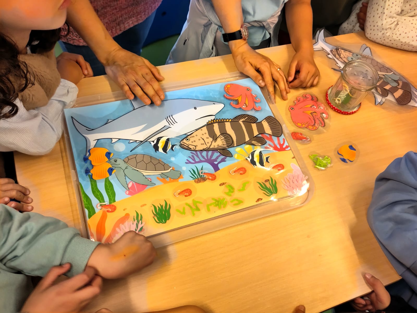 océan, sciencis, médiation scientifique