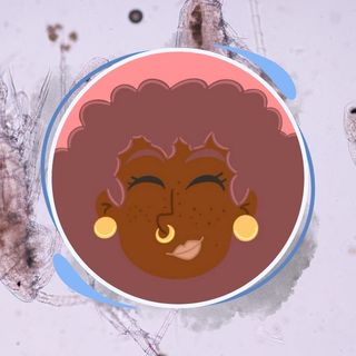 qui sommes-nous, sciencis, médiation scientifique